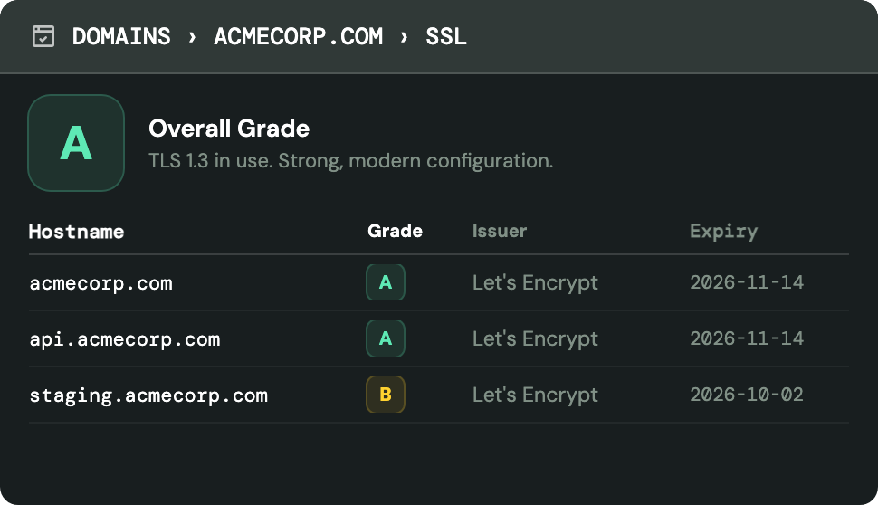 An SSL overview grading the domain A for TLS 1.3, over a certificate table listing each hostname's grade, issuer and expiry, with a staging subdomain graded B