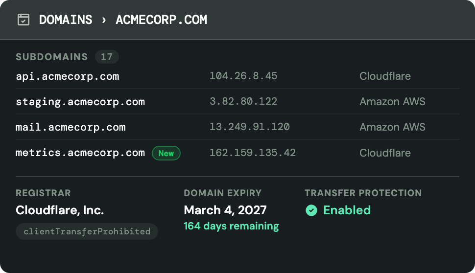 A list of 17 discovered subdomains with their IP addresses and hosting providers, one newly found, above WHOIS registrar, domain expiry and transfer protection details